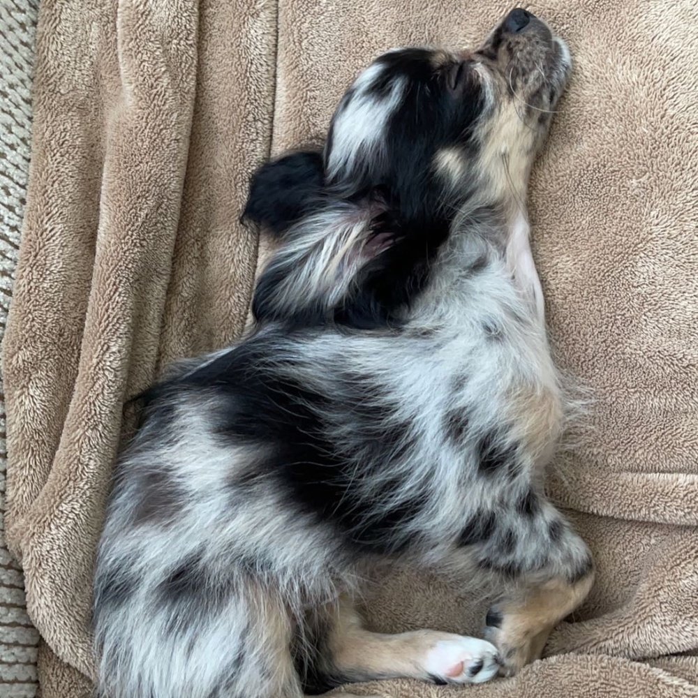 Meet your Posher, Julie